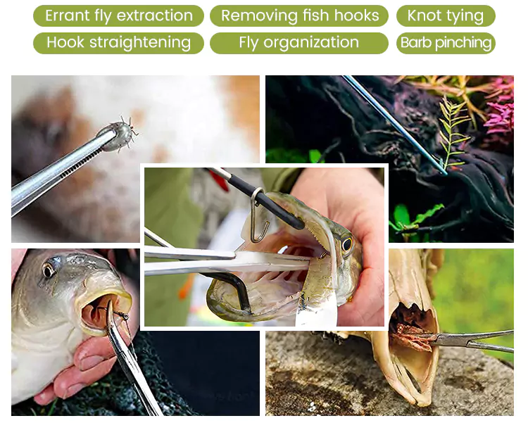 Applications of Curved Fly Fishing Forceps