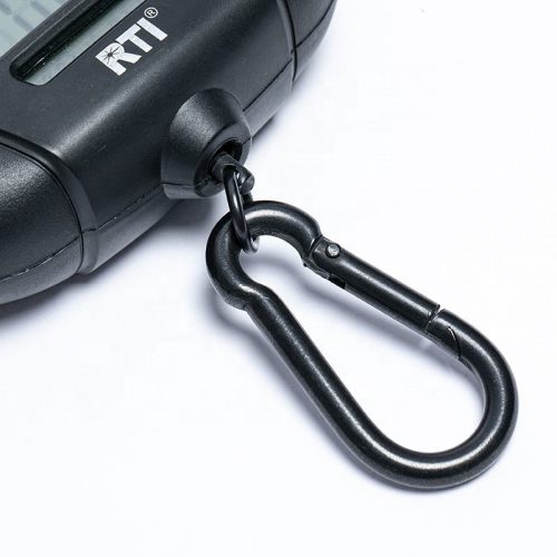 Stainless Steel Karabine of Folding Digital Fish Scale