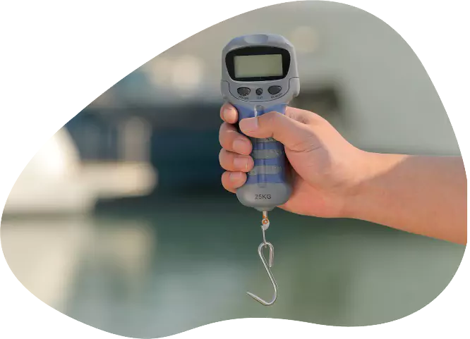 Digital Fish Scale Product Advantages