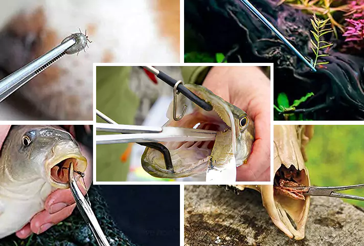 Stainless Steel Fishing Forceps Video